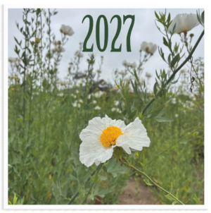 2027 Fun Holidays and Flower Calendar